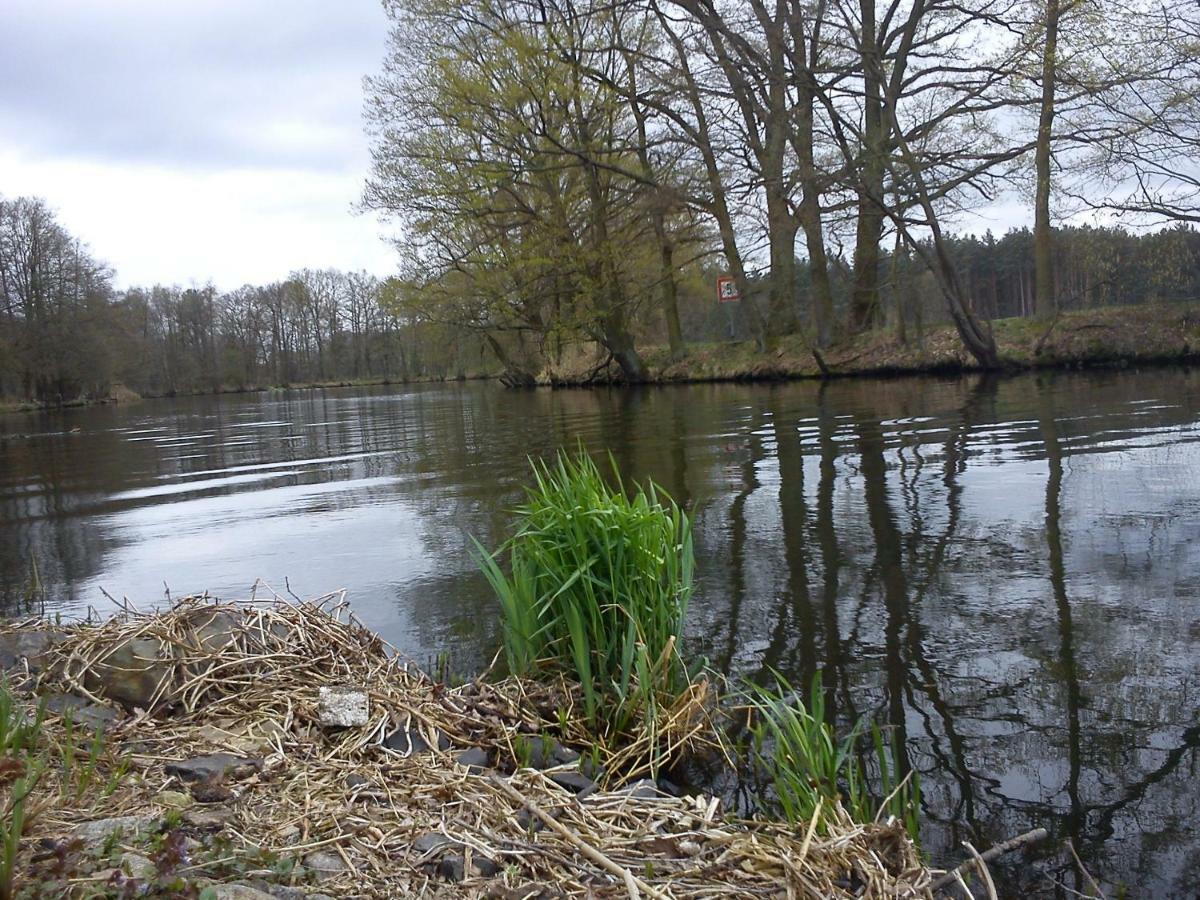 Ferienwohnungen 3 Birken Briesen  Exteriör bild